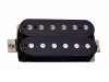 TONERIDER Alnico 2 Classics (BK, neck)